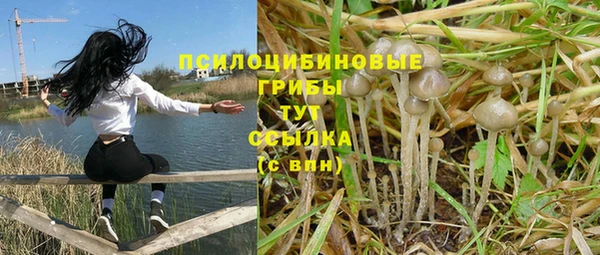 мет Алзамай