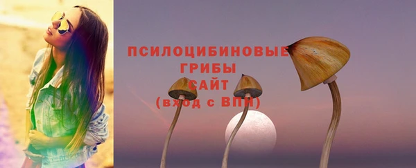ПСИЛОЦИБИНОВЫЕ ГРИБЫ Алексин