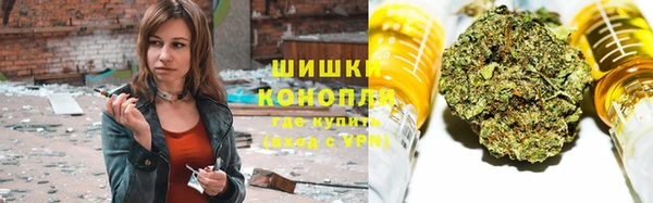 ПСИЛОЦИБИНОВЫЕ ГРИБЫ Алексин