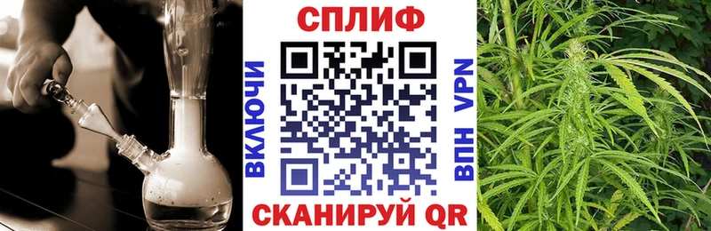 гидра ссылки  Зеленоградск  Шишки марихуана конопля 